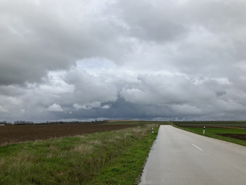 beillesztett kép