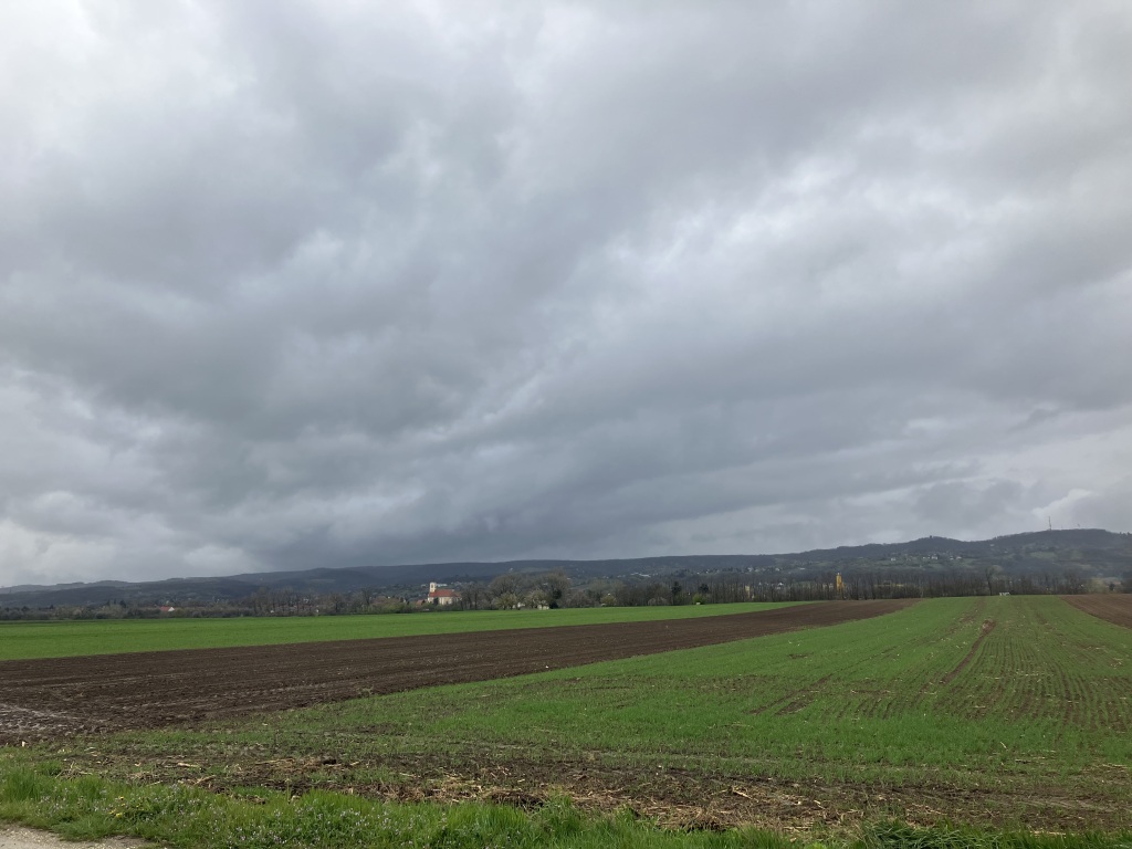 beillesztett kép