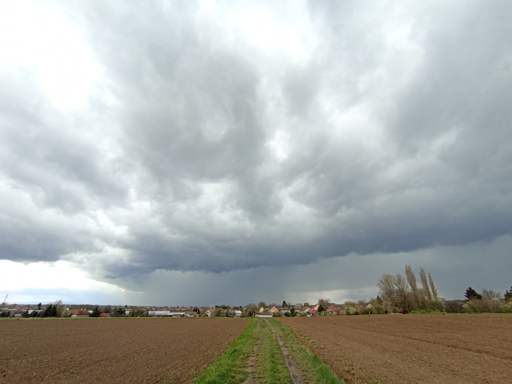 beillesztett kép