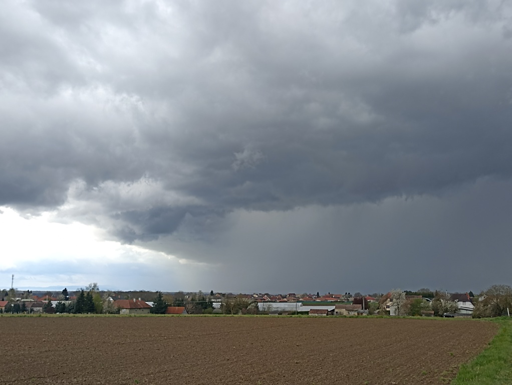 beillesztett kép