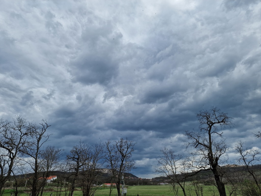 beillesztett kép