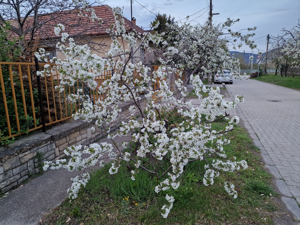 beillesztett kép
