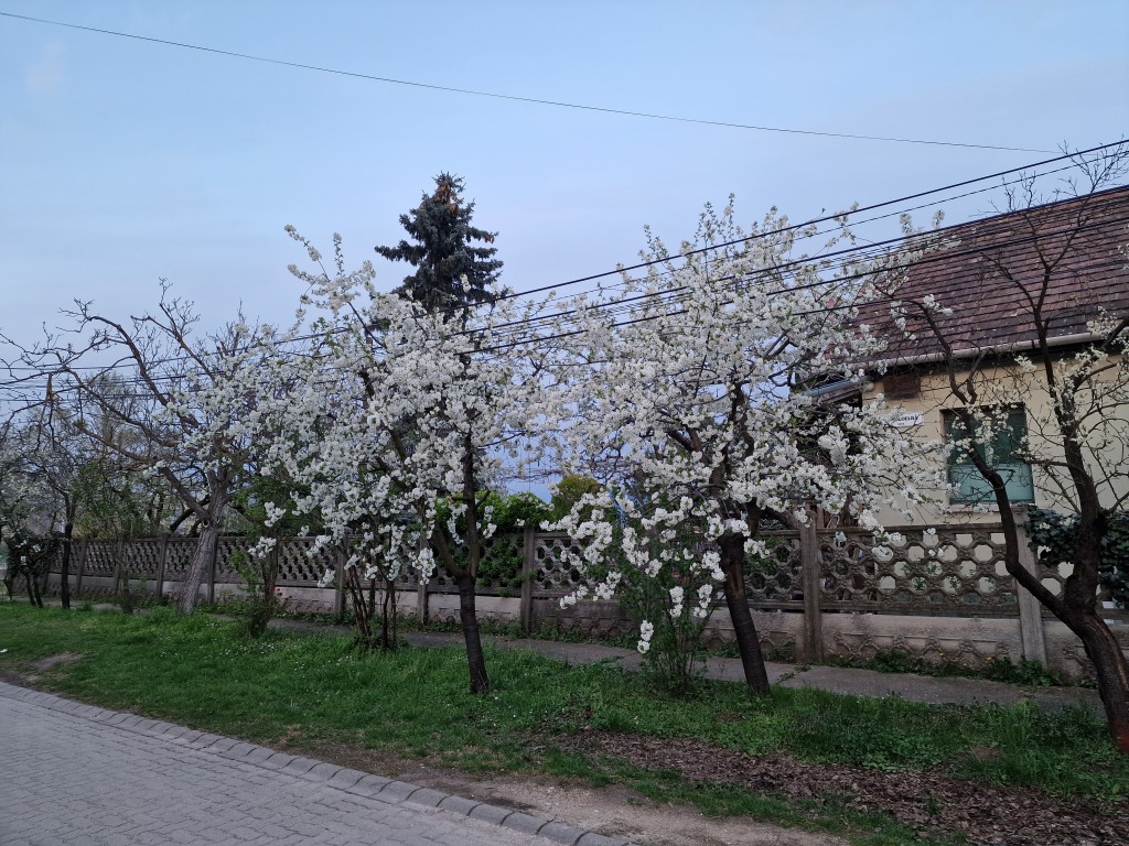 beillesztett kép