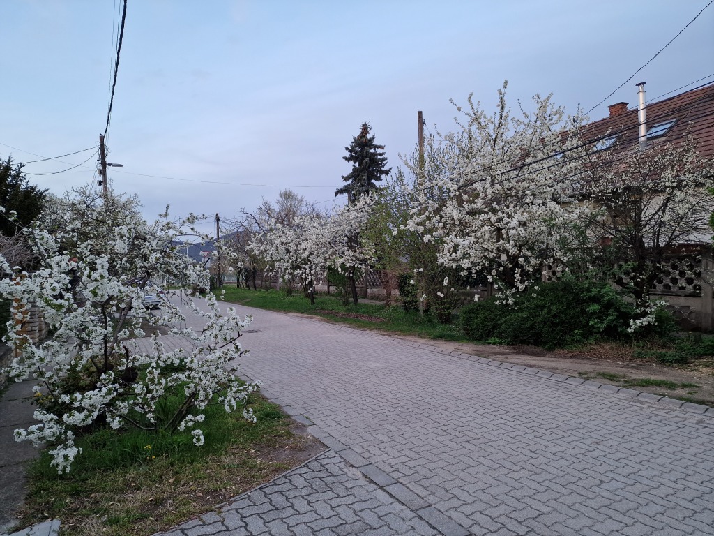 beillesztett kép