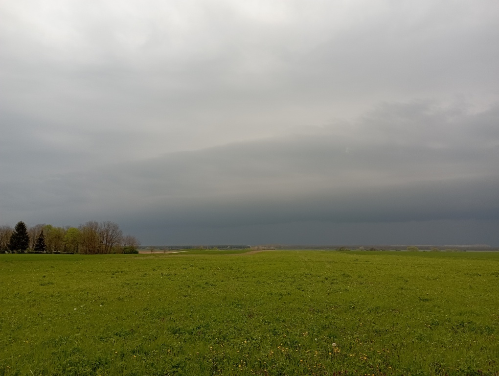 beillesztett kép