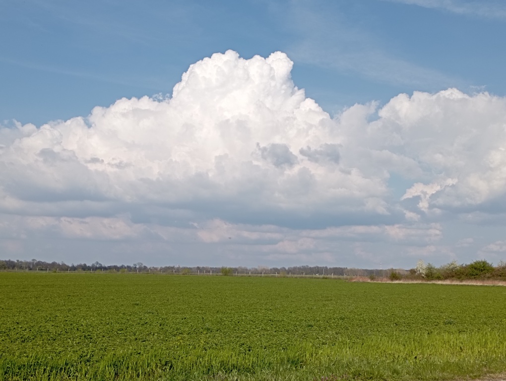 beillesztett kép