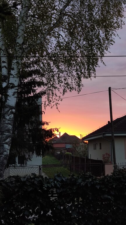 beillesztett kép
