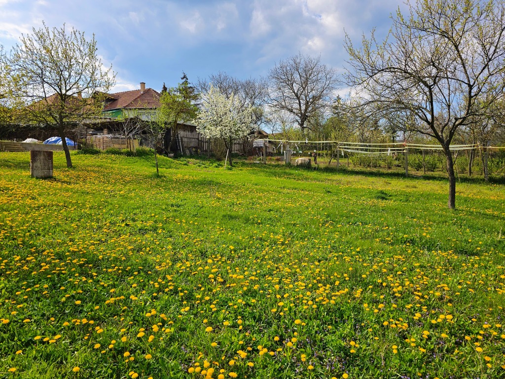 beillesztett kép