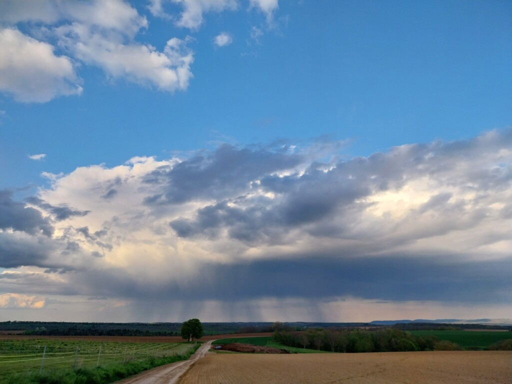 beillesztett kép