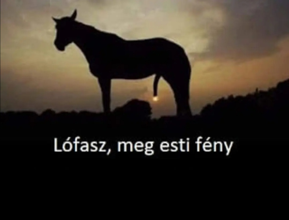 beillesztett kép