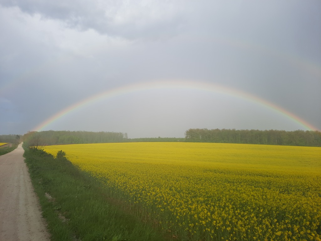beillesztett kép