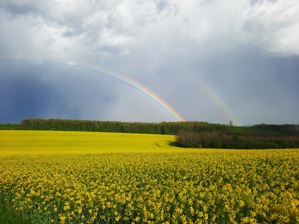 beillesztett kép