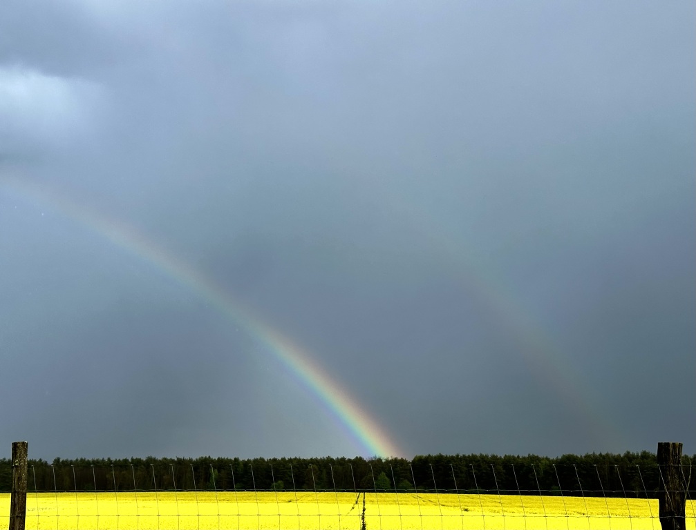 beillesztett kép