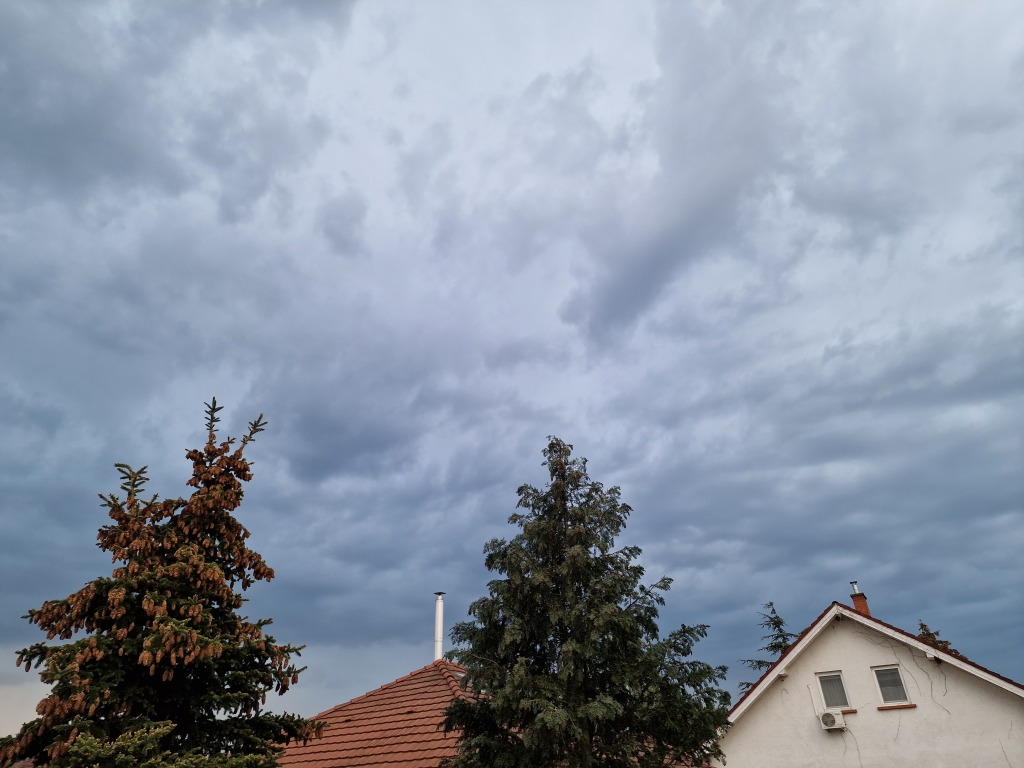 beillesztett kép