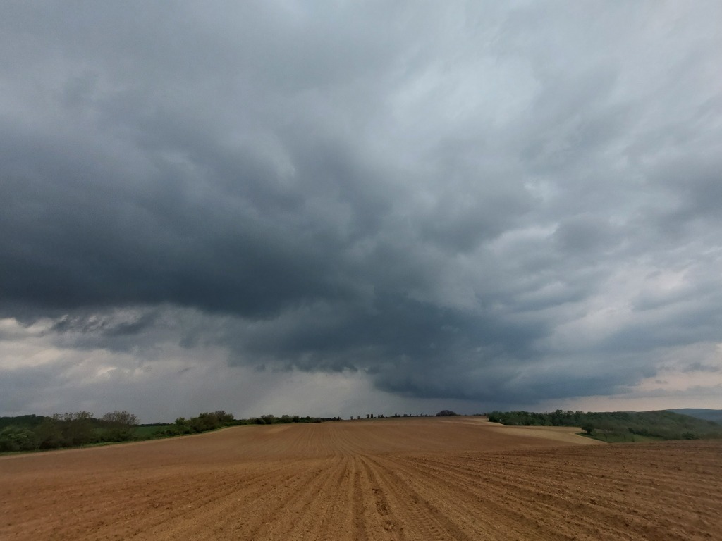 beillesztett kép