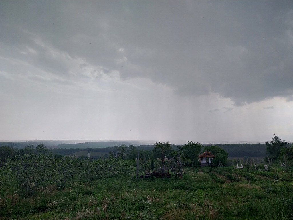 beillesztett kép