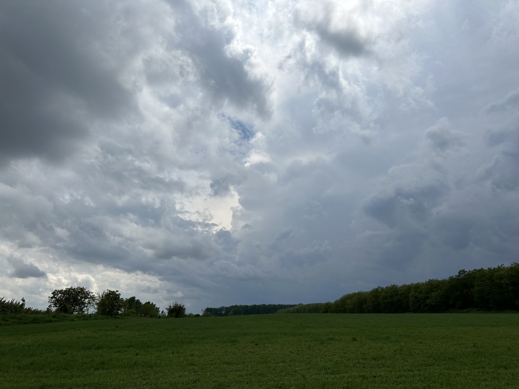 beillesztett kép