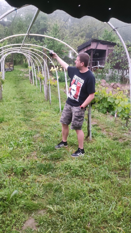 beillesztett kép