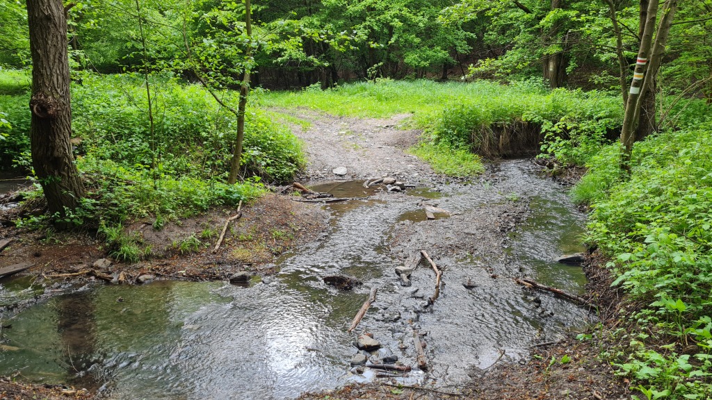 beillesztett kép