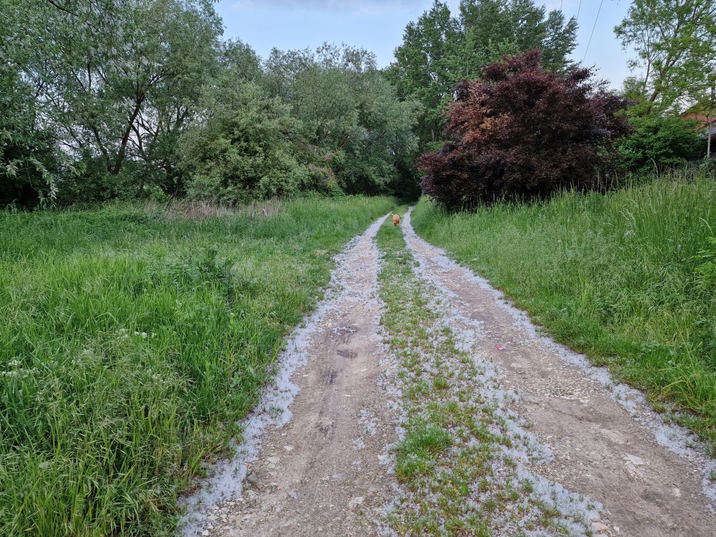 beillesztett kép