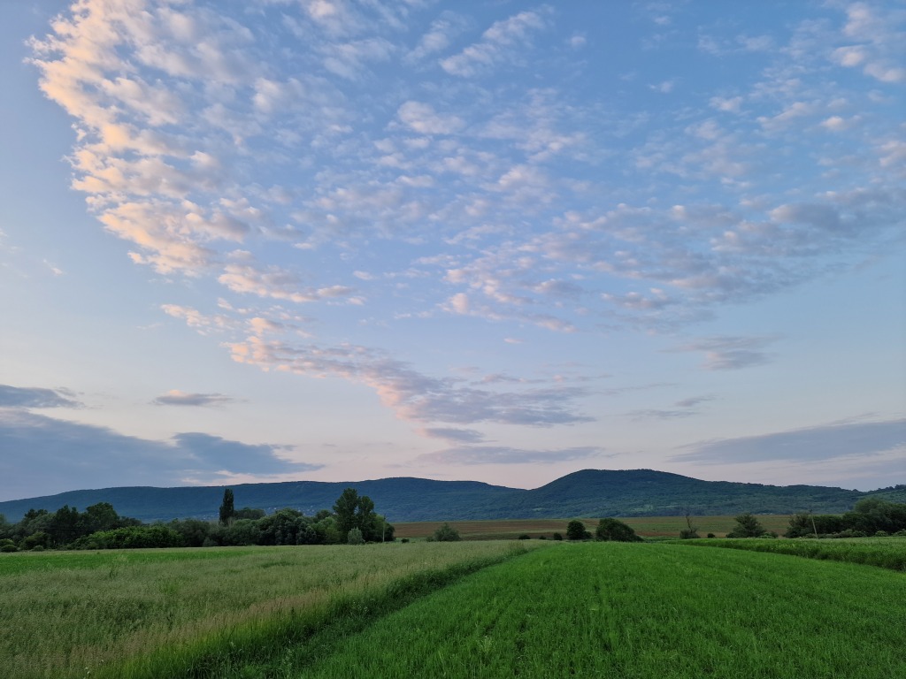 beillesztett kép