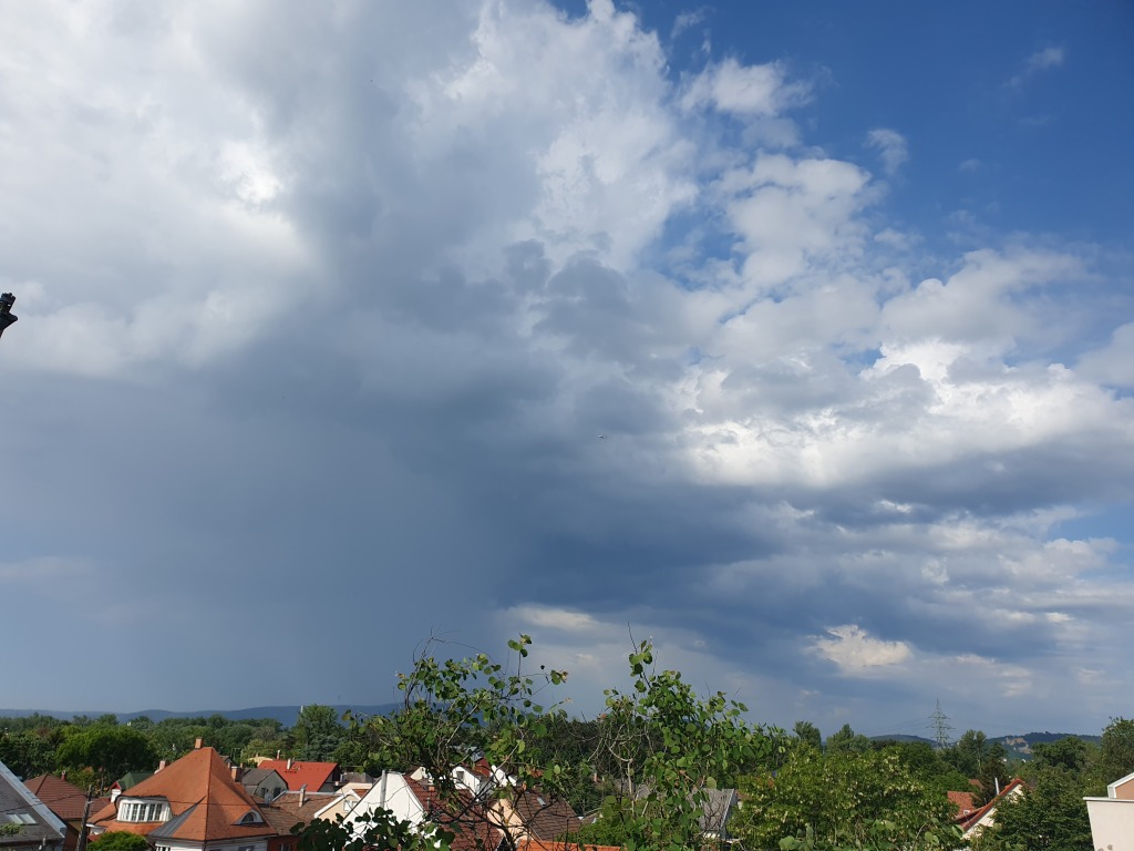beillesztett kép