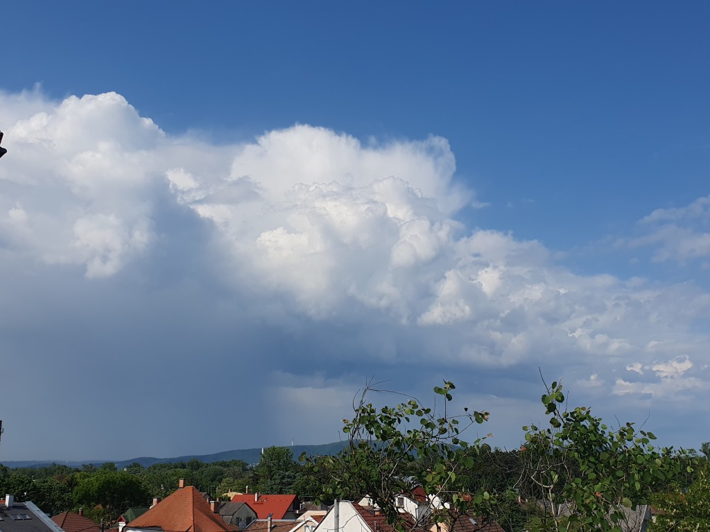 beillesztett kép