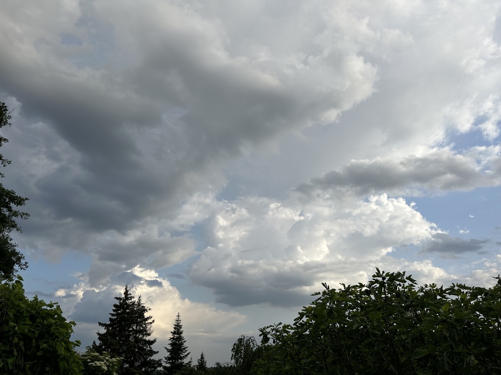 beillesztett kép