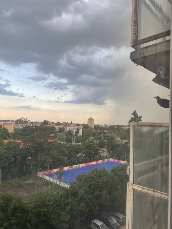 beillesztett kép