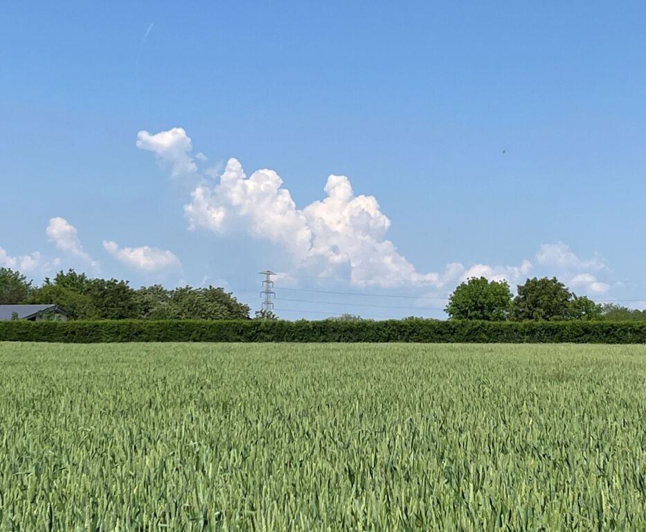 beillesztett kép