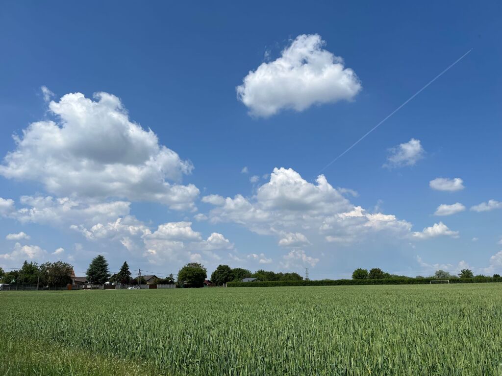 beillesztett kép