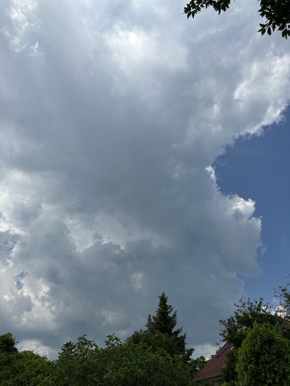 beillesztett kép