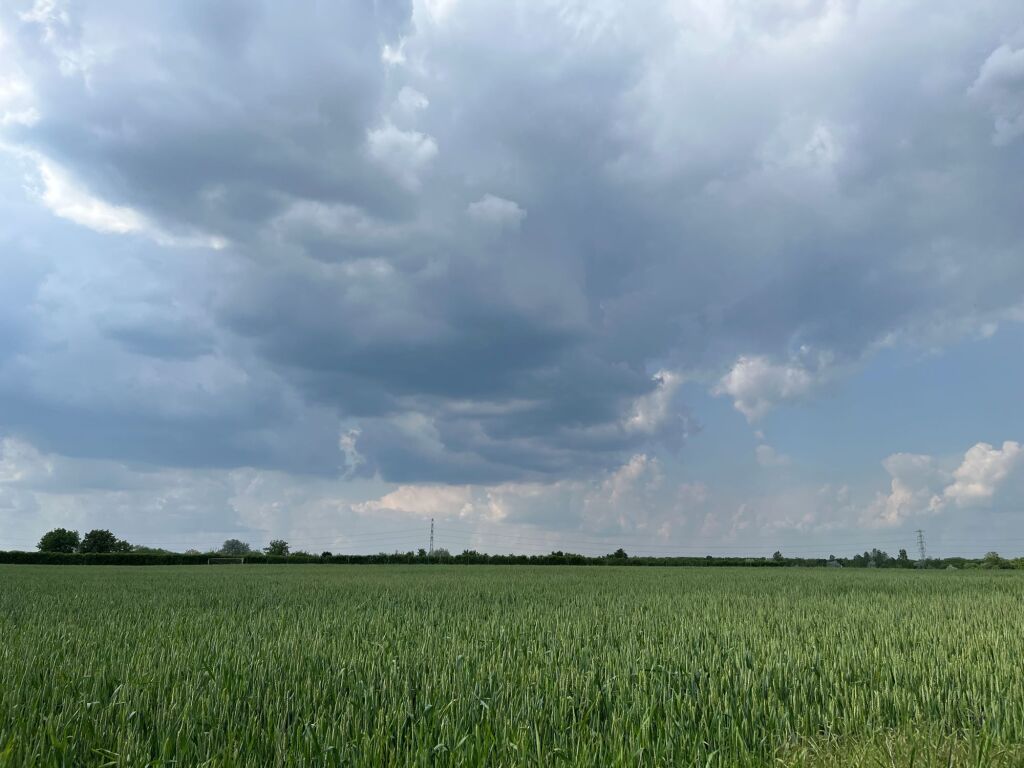 beillesztett kép