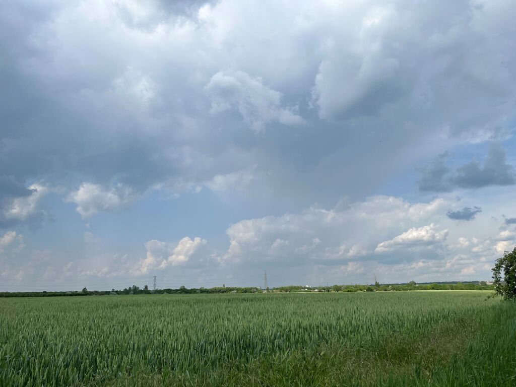 beillesztett kép