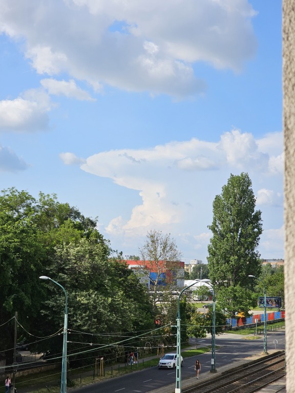 beillesztett kép