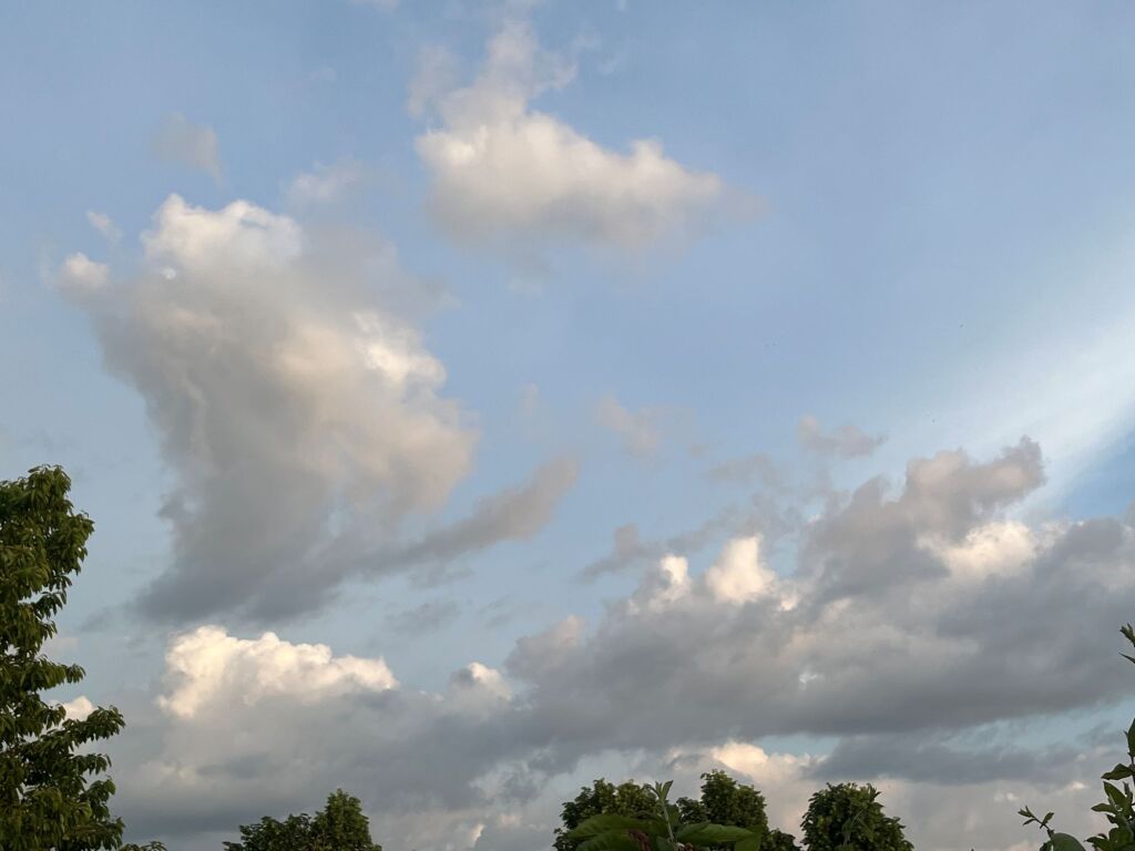 beillesztett kép