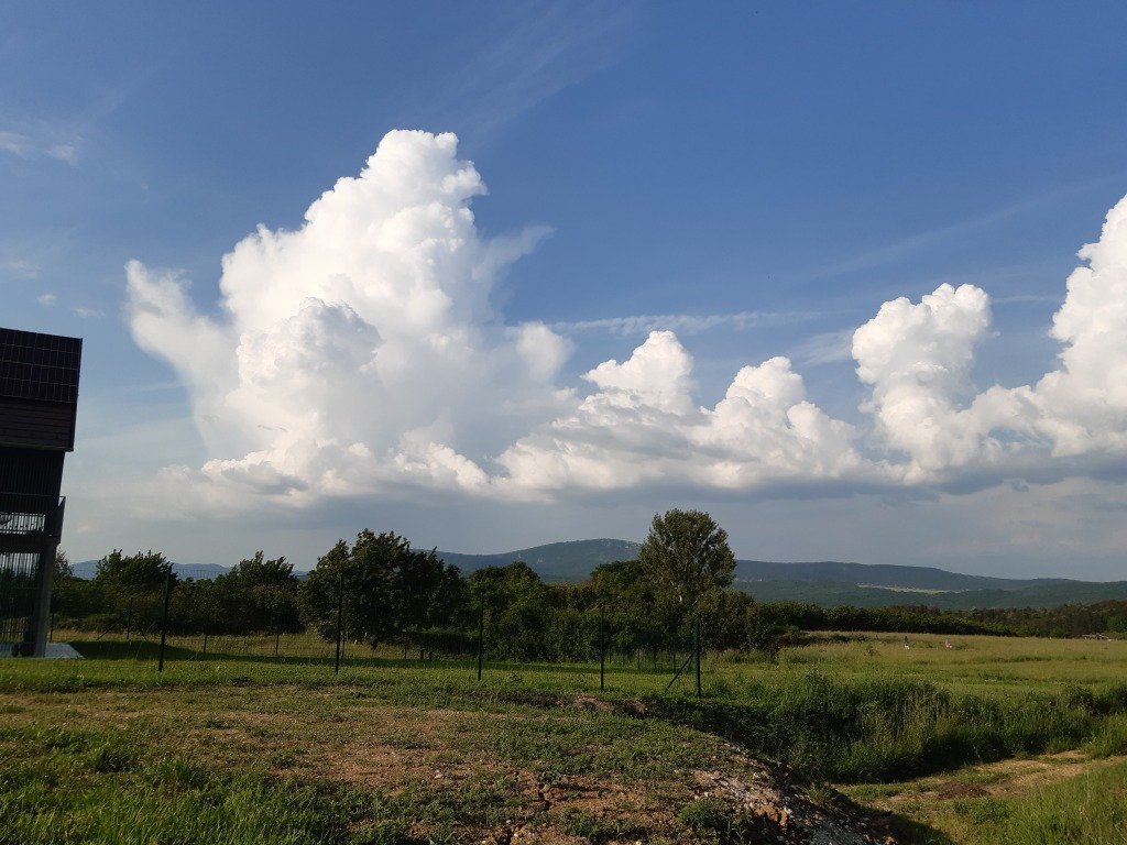 beillesztett kép