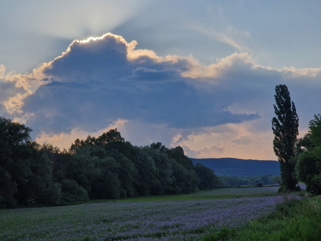 beillesztett kép