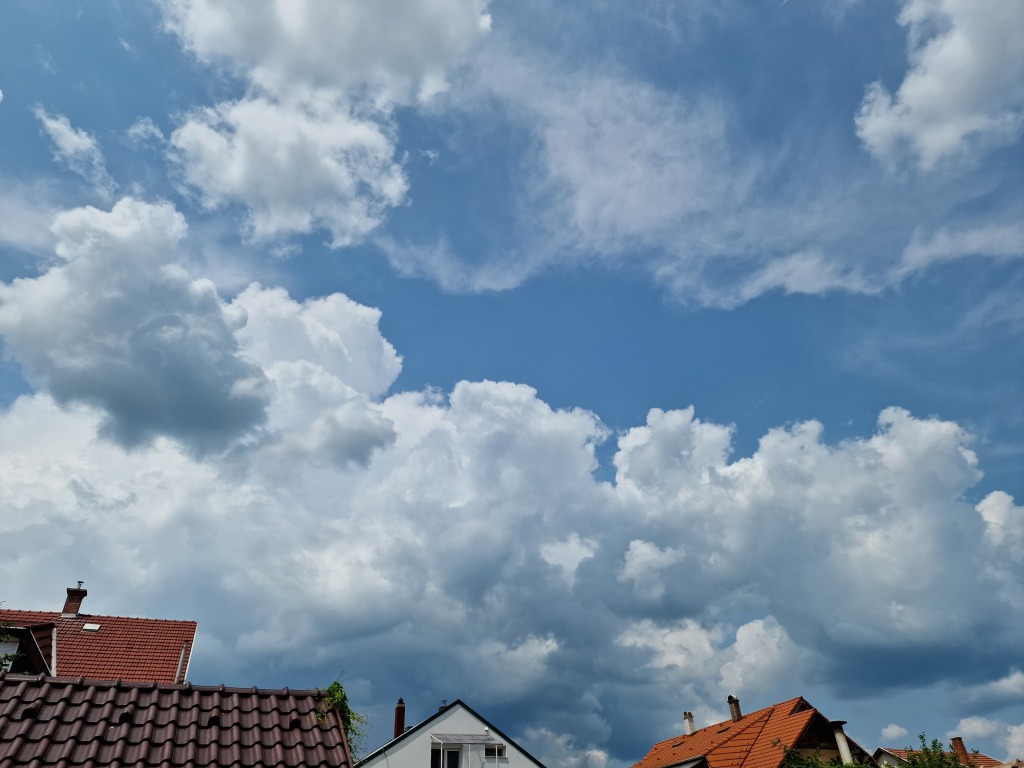 beillesztett kép