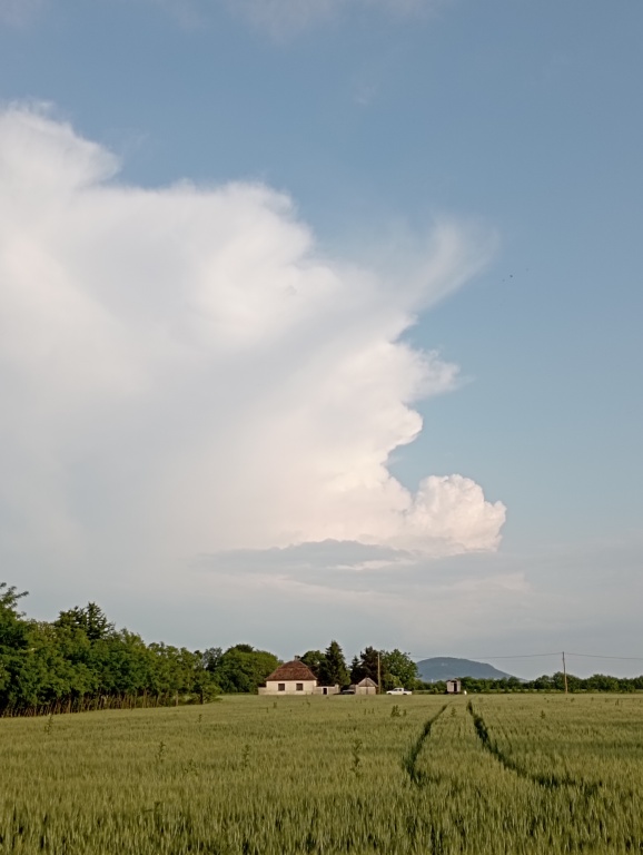 beillesztett kép