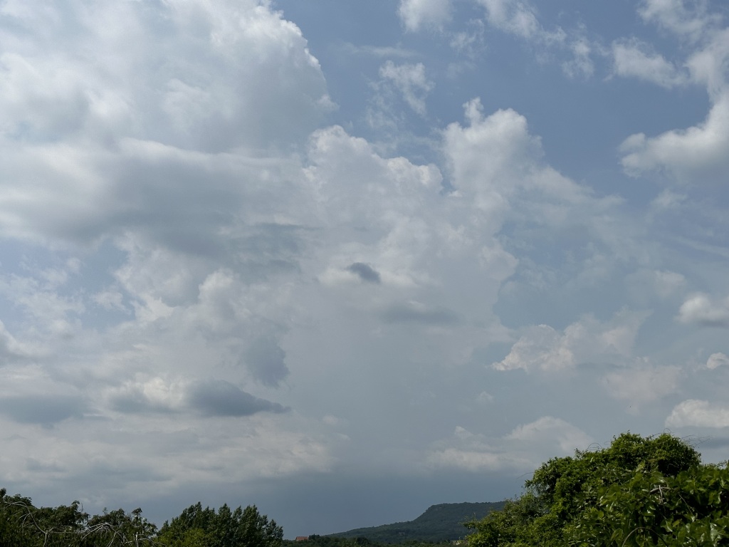 beillesztett kép