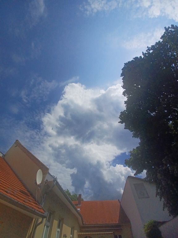 beillesztett kép