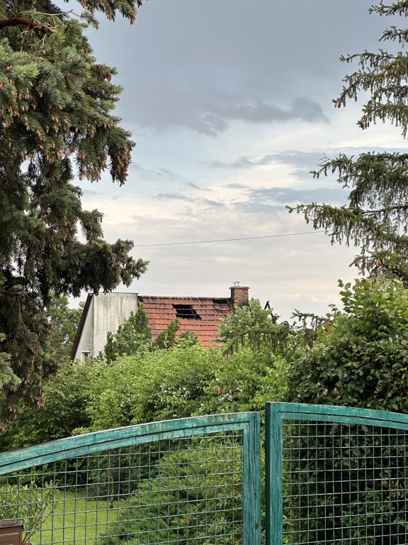 beillesztett kép