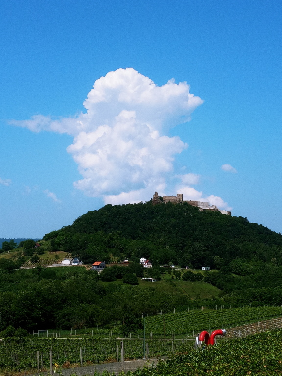 beillesztett kép