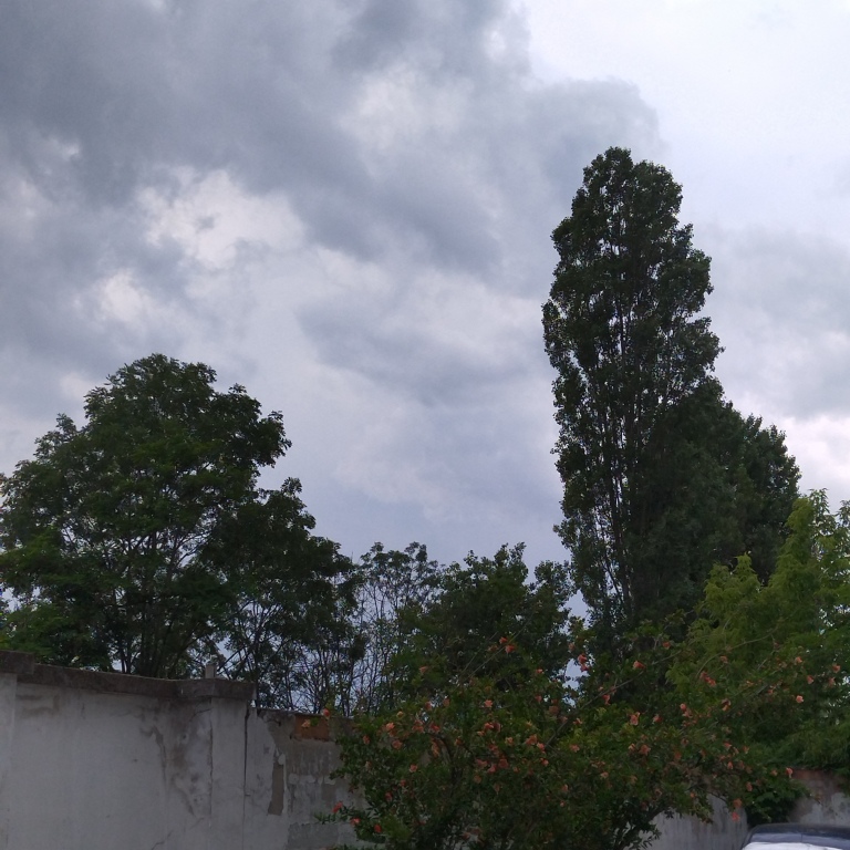 beillesztett kép