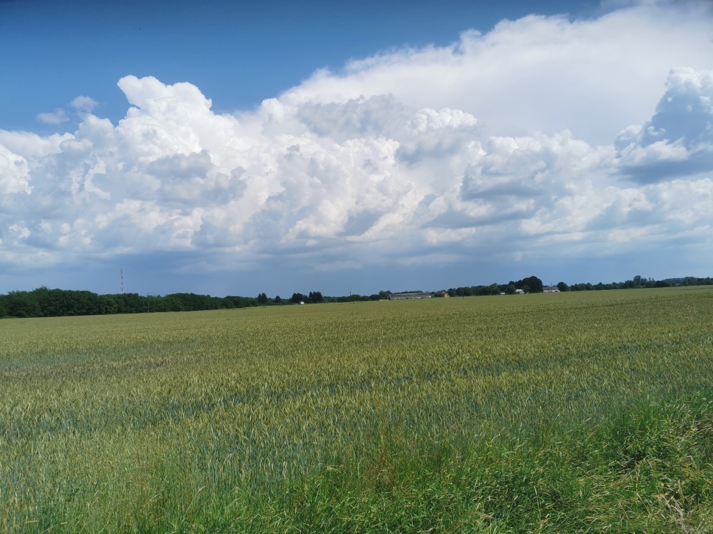beillesztett kép