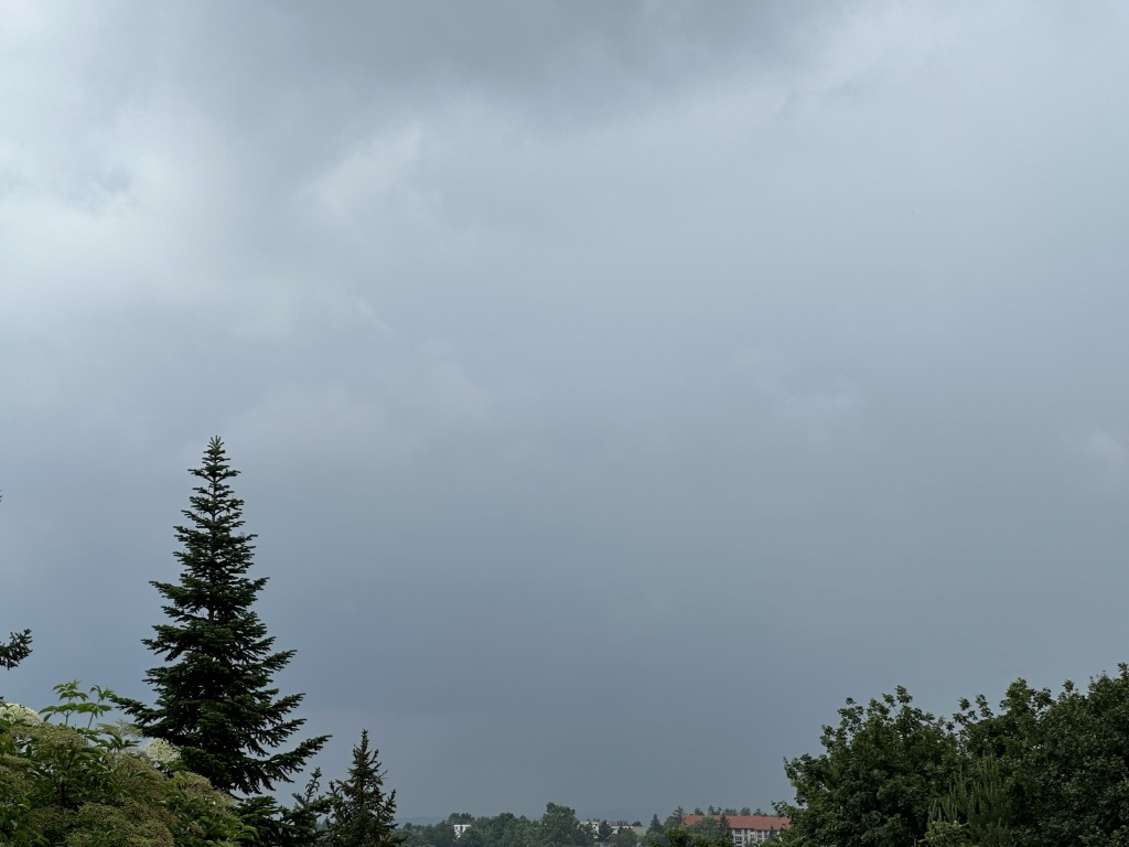 beillesztett kép