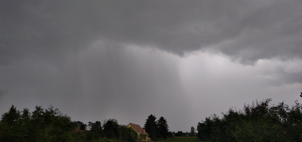 beillesztett kép