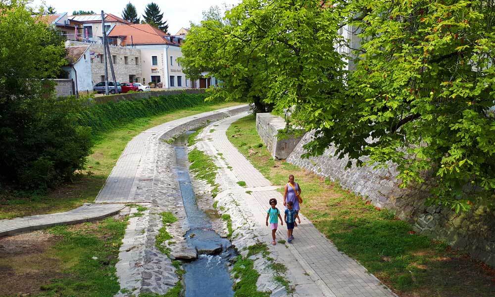 beillesztett kép