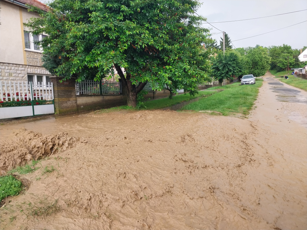 beillesztett kép